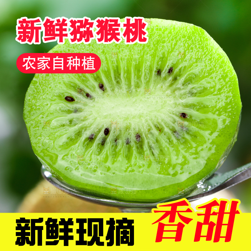 勺子上挖着绿心奇异果果肉