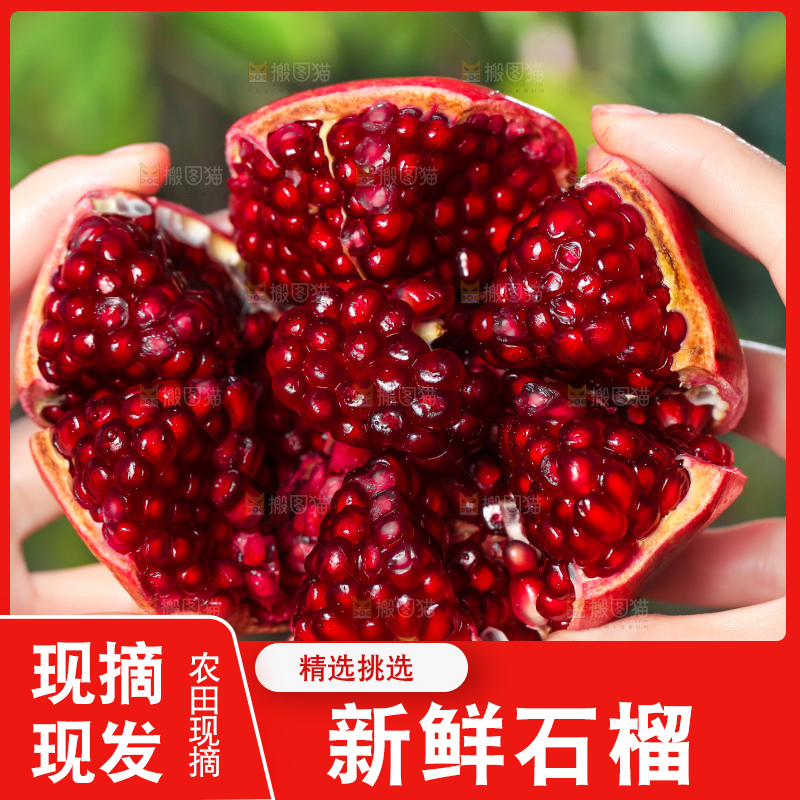 手上拿着剥开黑珍珠石榴