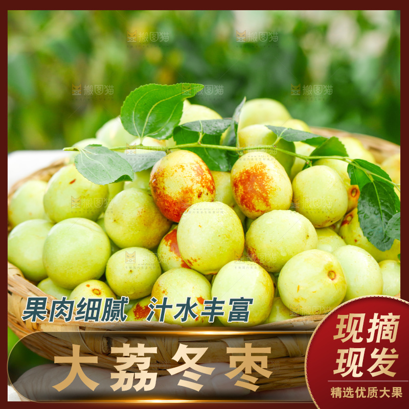 农民手上端着一篮新鲜冬枣