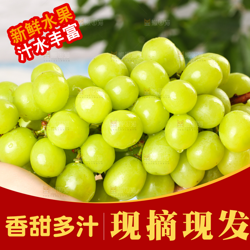 手上拿着一串新鲜阳光玫瑰