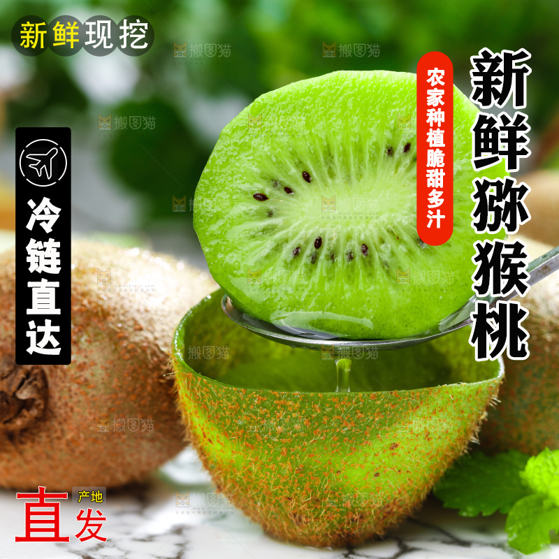 勺子上挖着绿心奇异果果肉