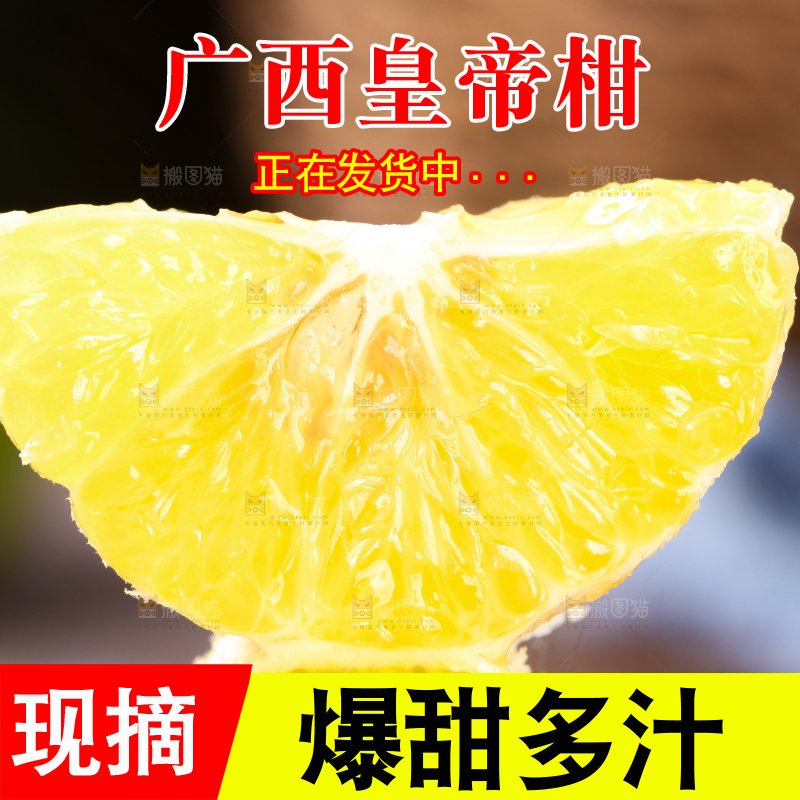一块皇帝柑果肉