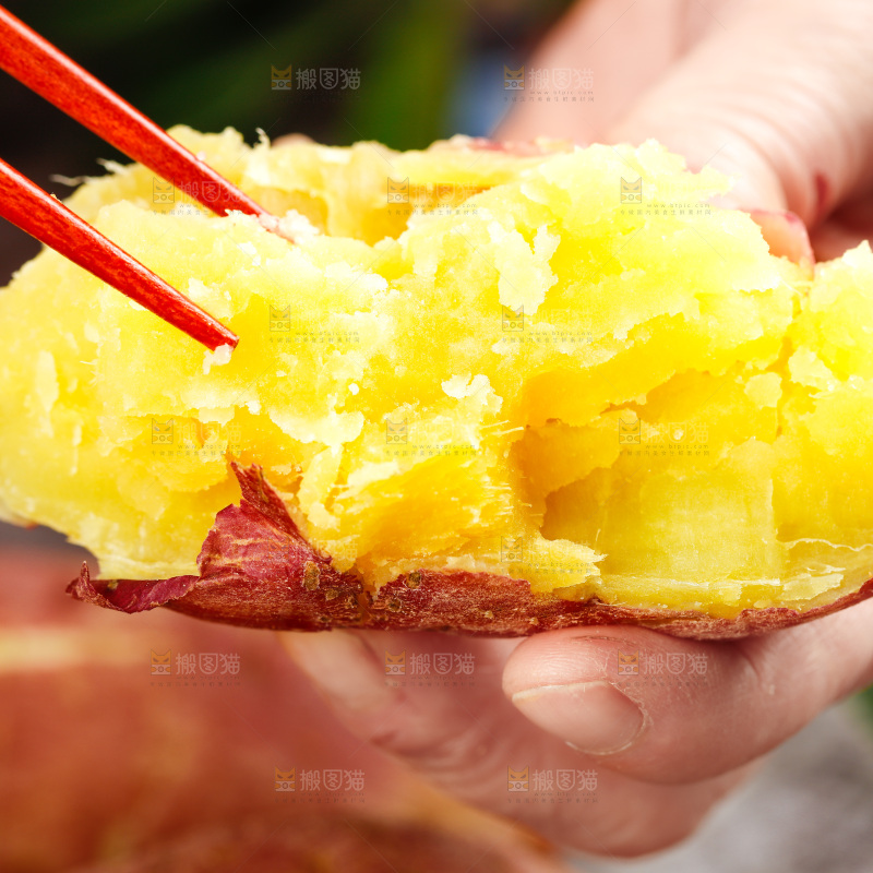 筷子上夹着山东板栗蜜薯