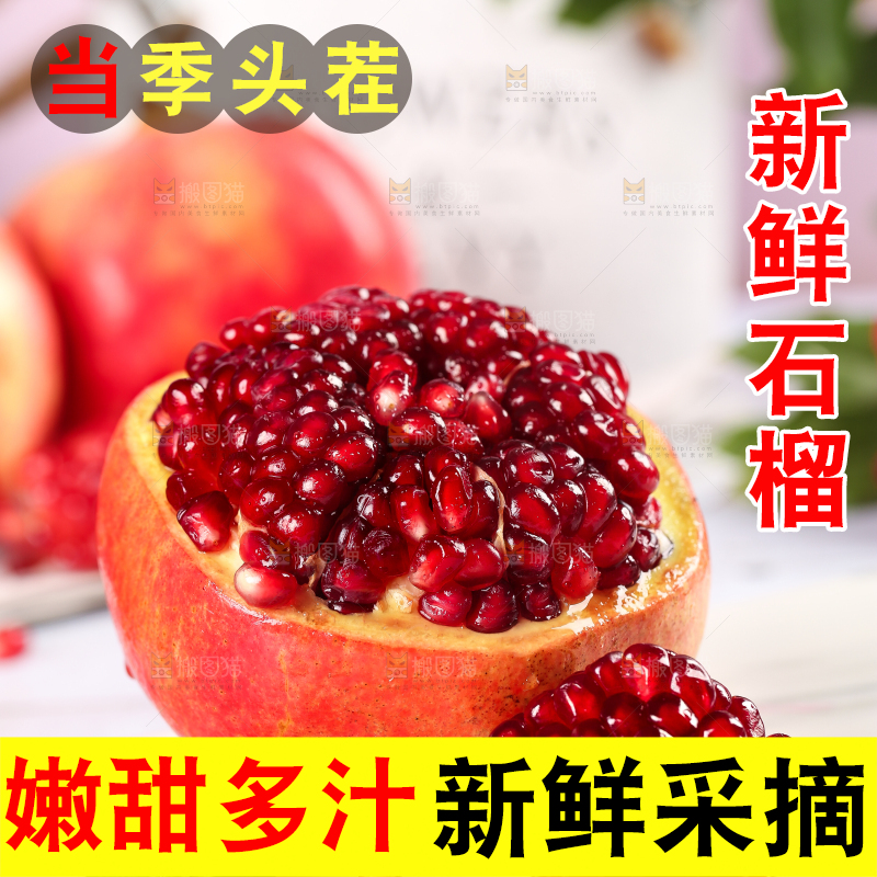 白石底上的软籽红石榴