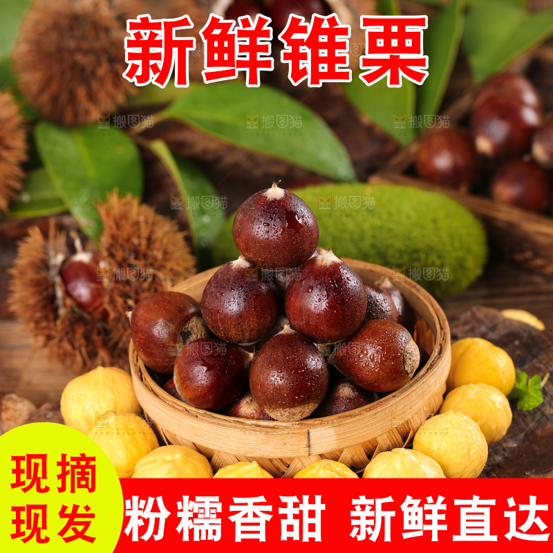 木底上篮子里的锥栗