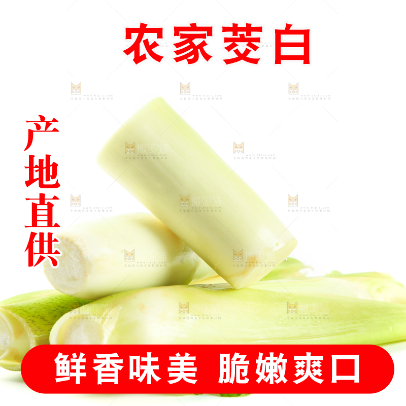 白底上放着一堆湖北新鲜茭白