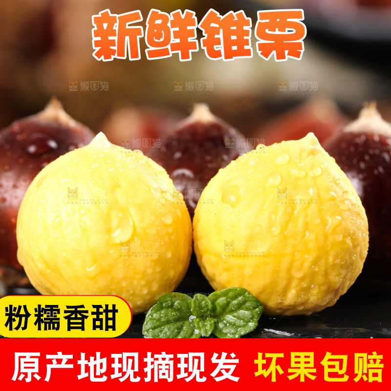 黑底上的锥栗和去壳的锥栗仁