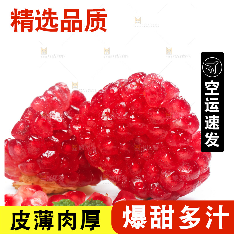 白底上的石榴籽