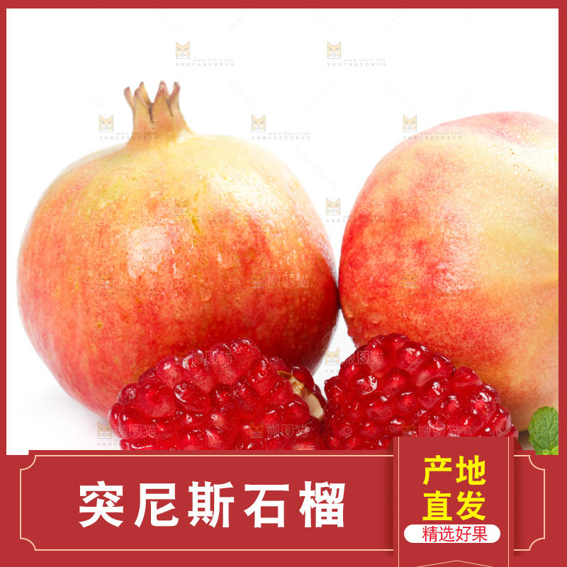 白底上的粉色石榴