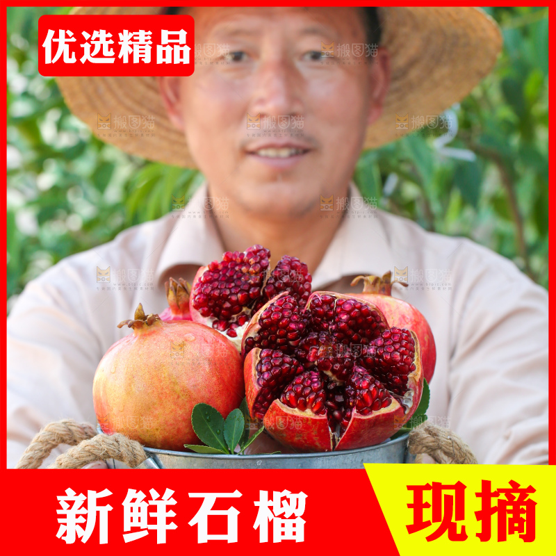 农民手上端着软籽石榴
