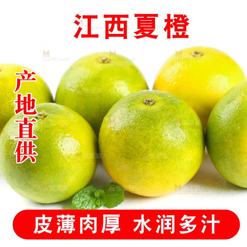 白底上一堆秭归夏橙