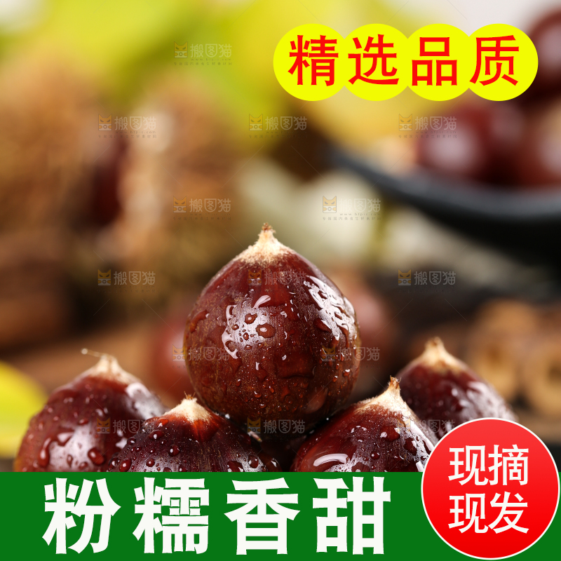 黑底上一堆新鲜锥栗