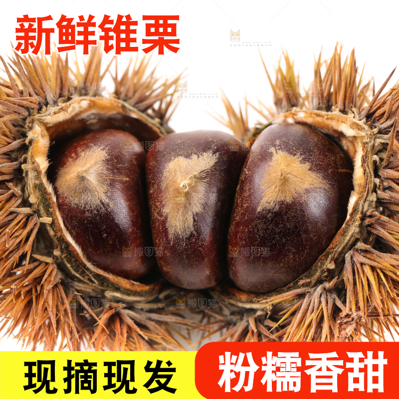 白底上放着板栗