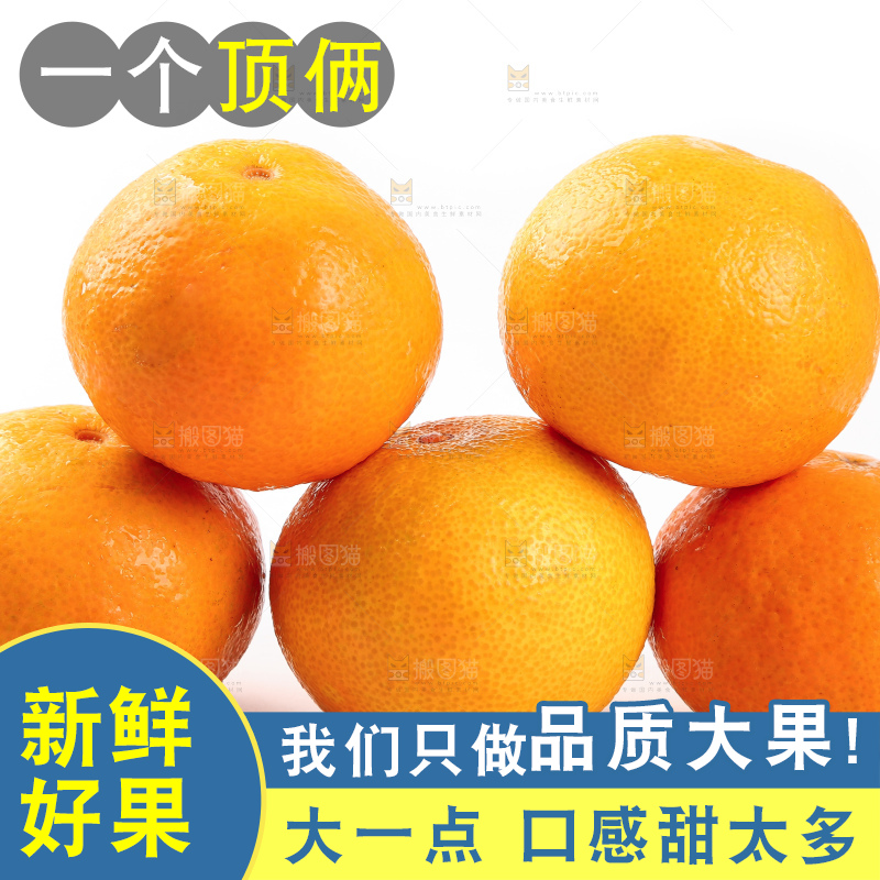 白底上一堆新鲜爱媛果冻橙