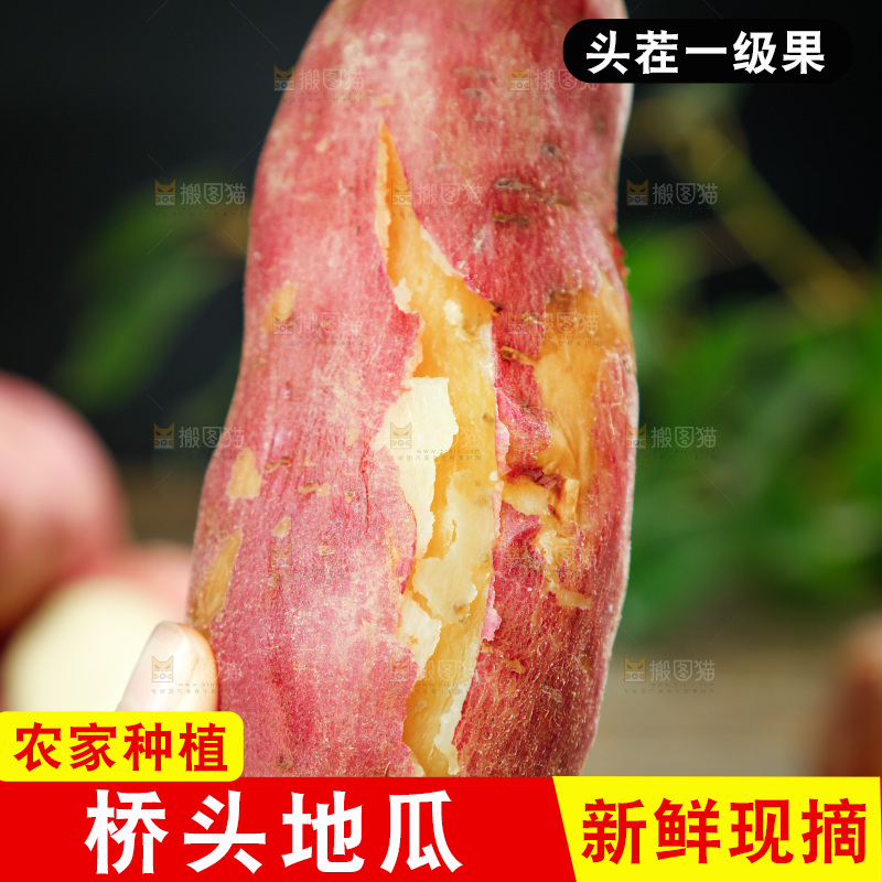 手上拿着黄心蜜薯