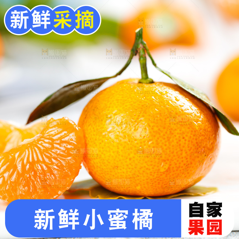 白底上的广西砂糖橘