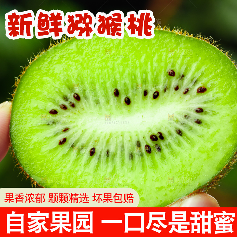 手上拿着绿心猕猴桃果肉