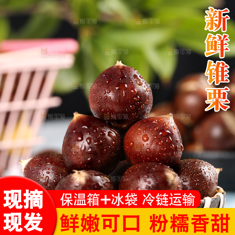 木板上一篮油锥栗