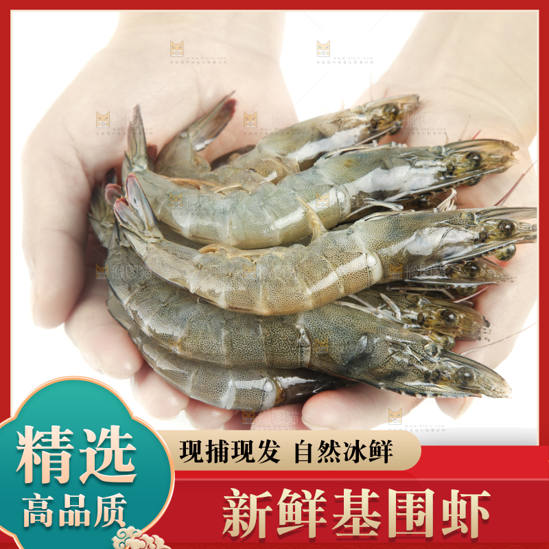 手上捧着大黑虎虾