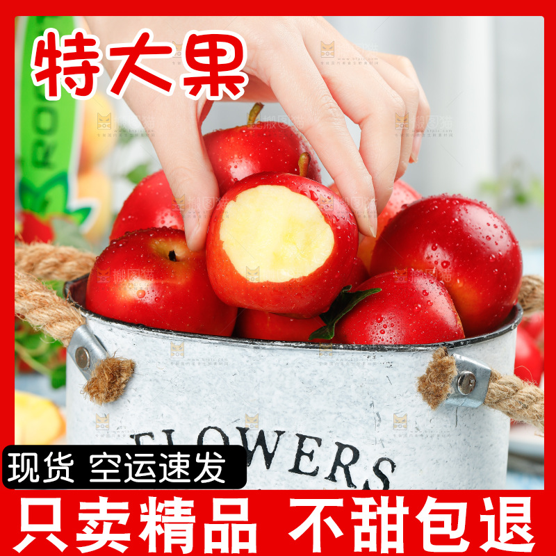 桶里装着新西兰火箭小苹果
