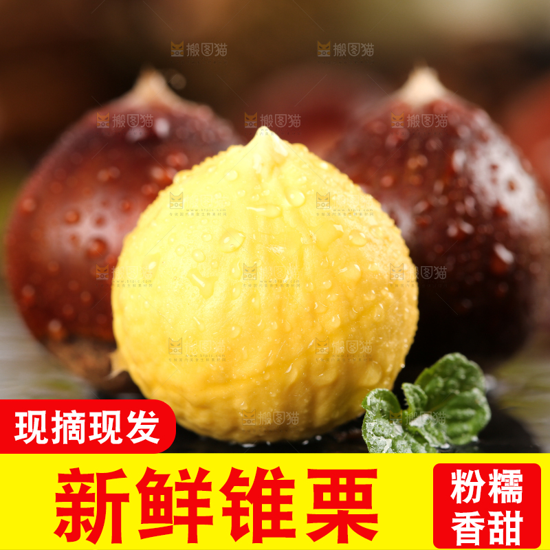 黑底上的锥栗和去壳的锥栗仁