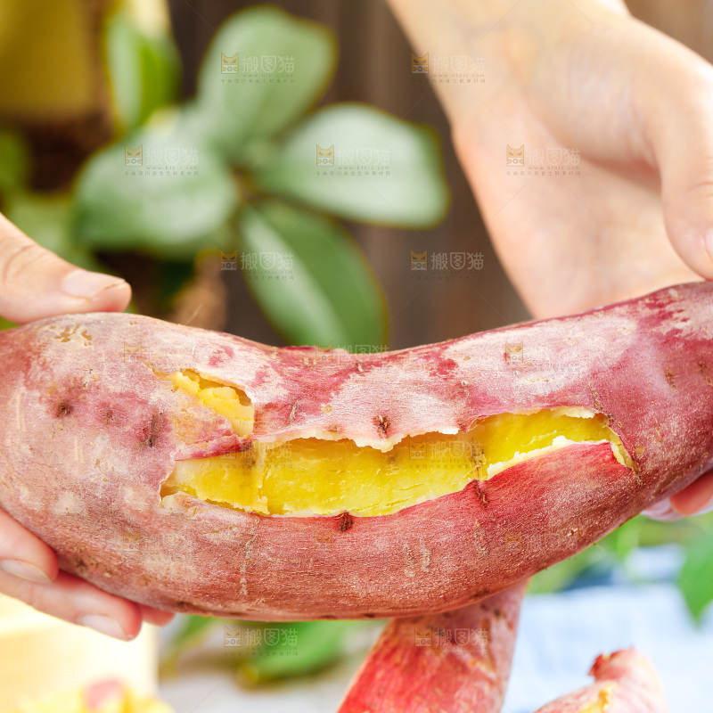 手上拿着板栗红薯