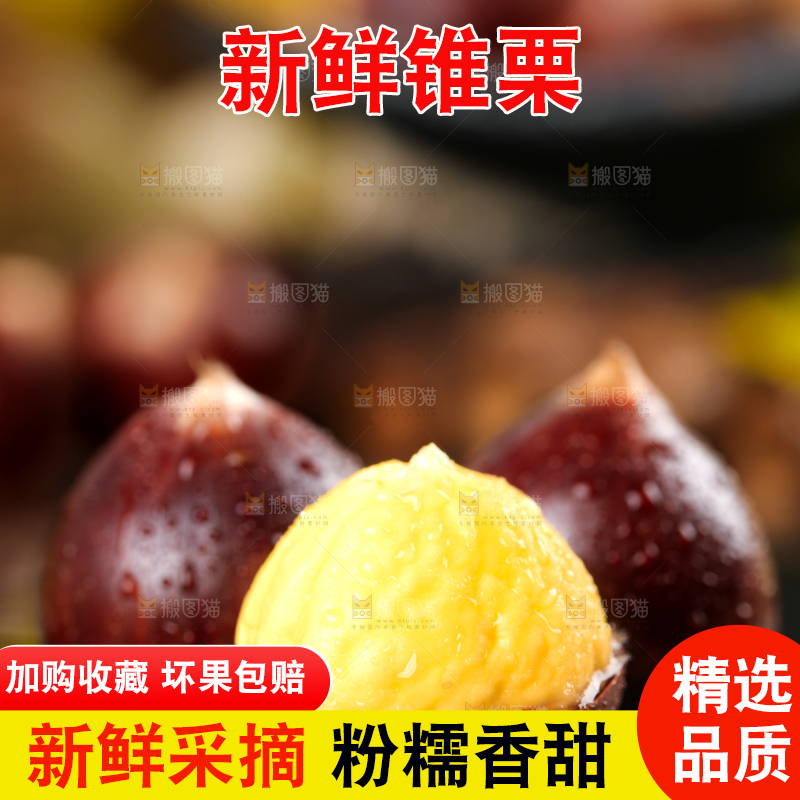 黑底上放着建瓯圆锥栗