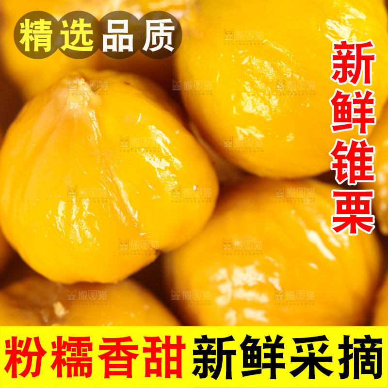 一堆熟的锥栗仁