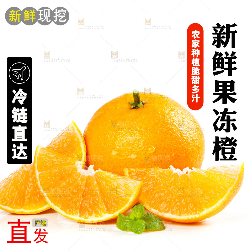 白底上的爱媛果冻橙和果冻橙果肉