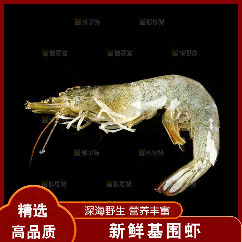 黑底上的青岛大虾
