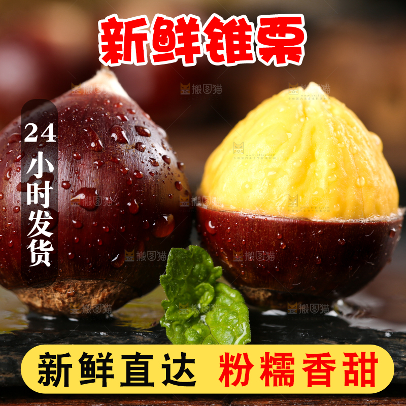 黑底上放着建瓯圆锥栗