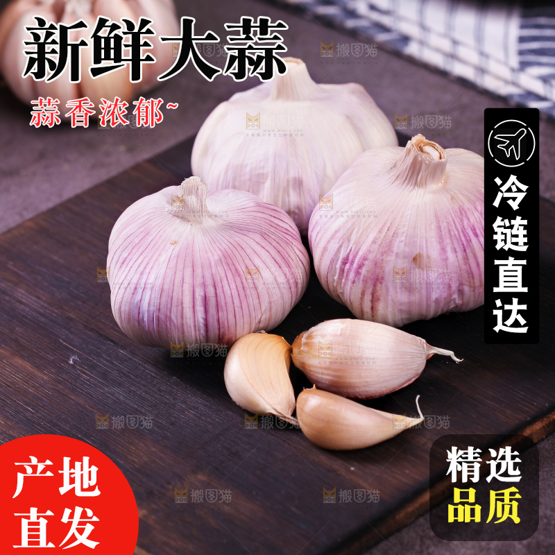 深底上的大蒜头