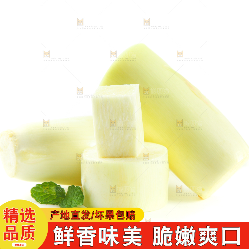 白底上的茭白