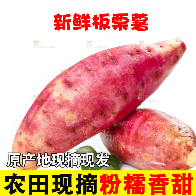 白底上的白心板栗红薯