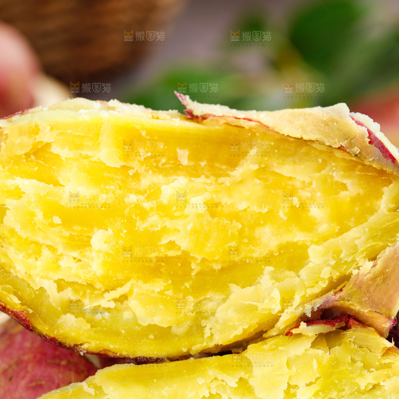 深底上的黄心红薯