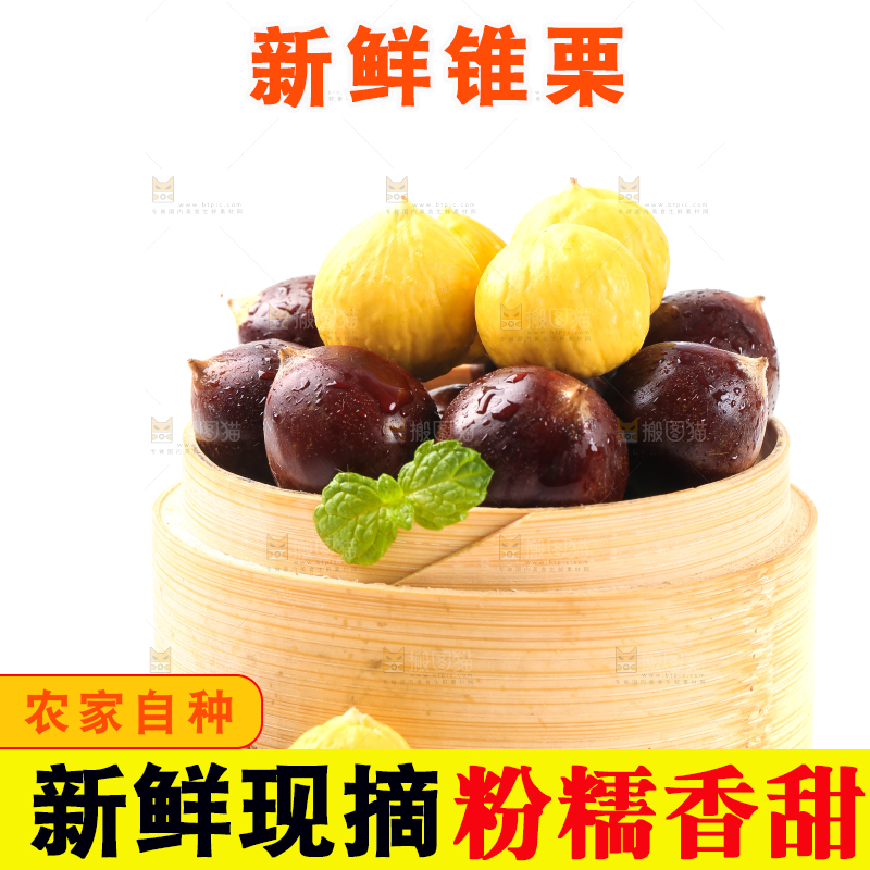 白底上蒸笼里放着建瓯锥栗
