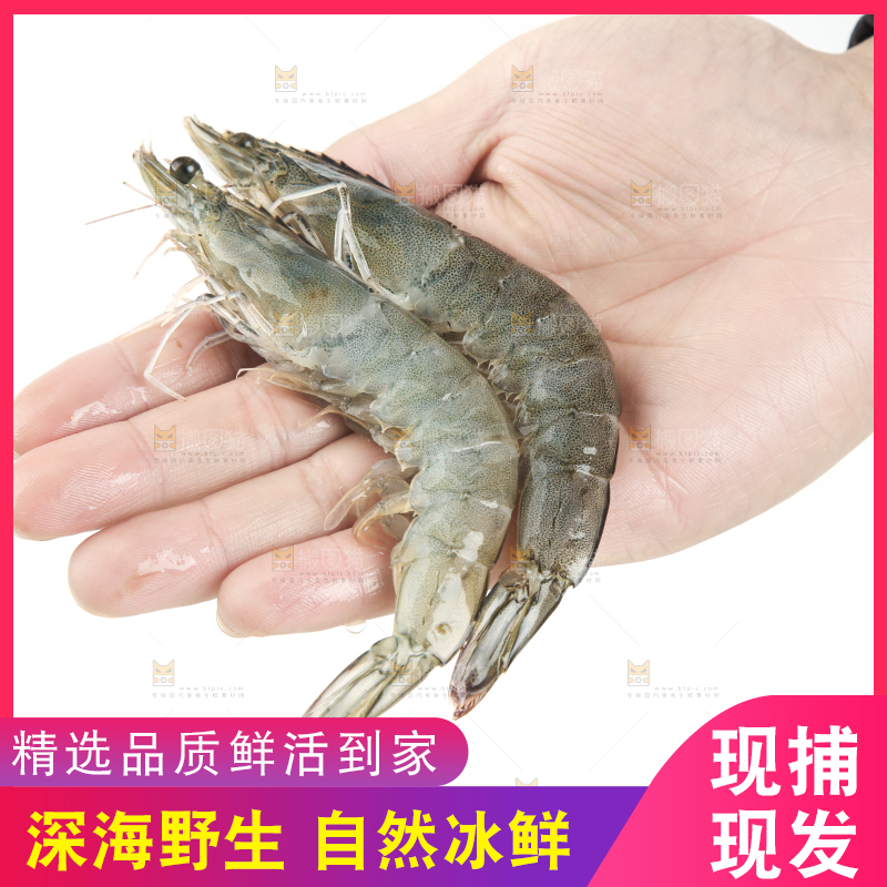 手上拿着大虾