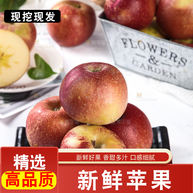 白底上摆放着一盘大凉山糖心丑苹果