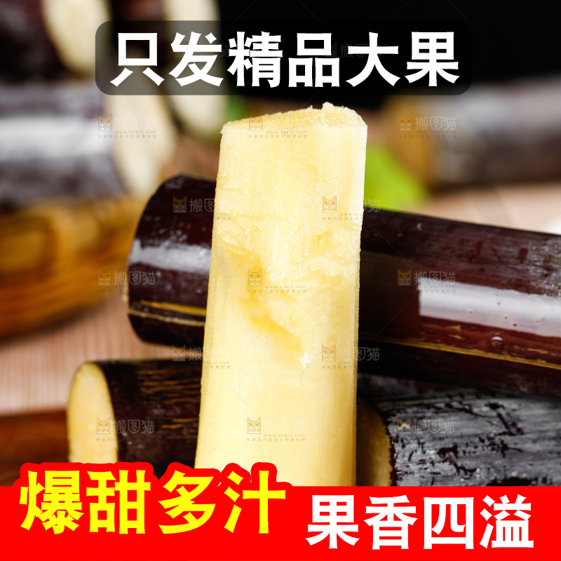 深木底上的广西甘蔗