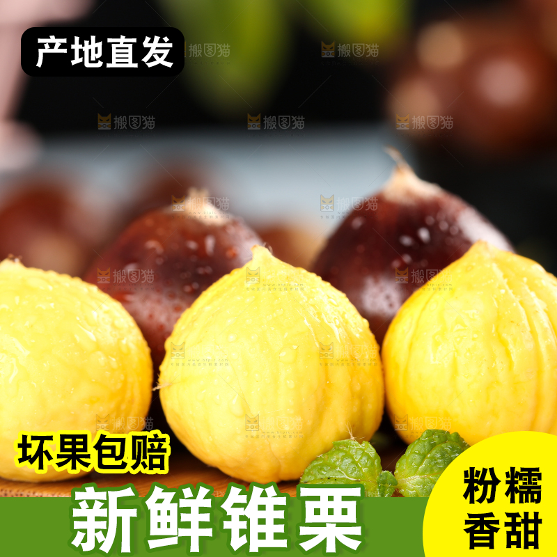 木底上放着锥栗仁