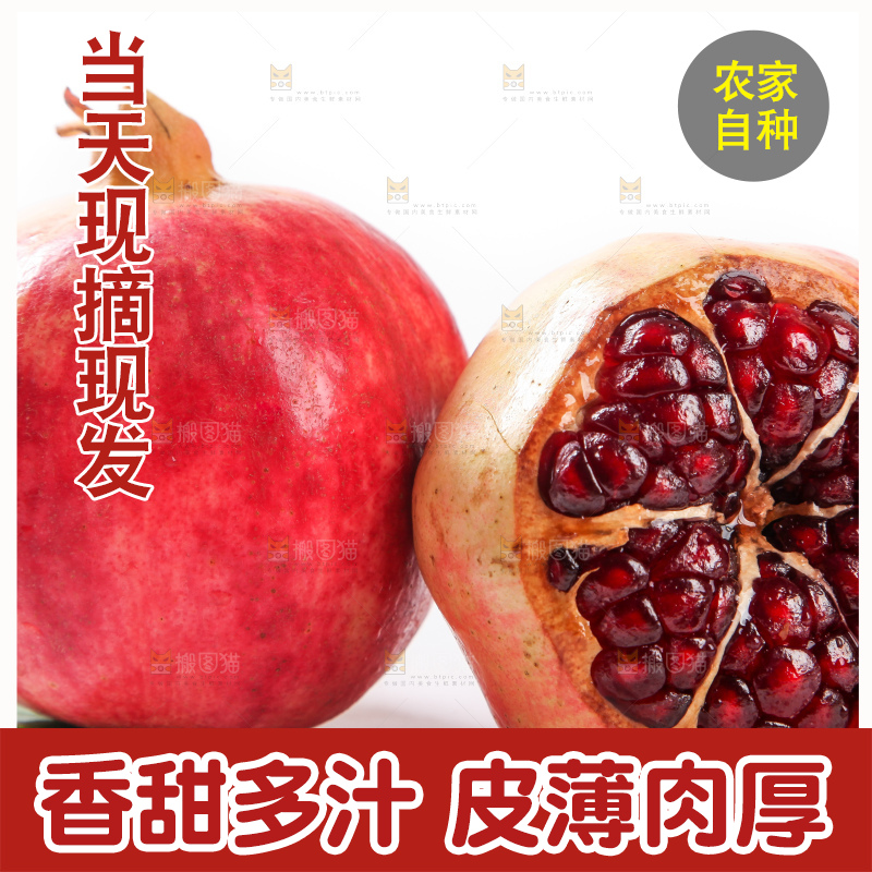 白底上的红石榴