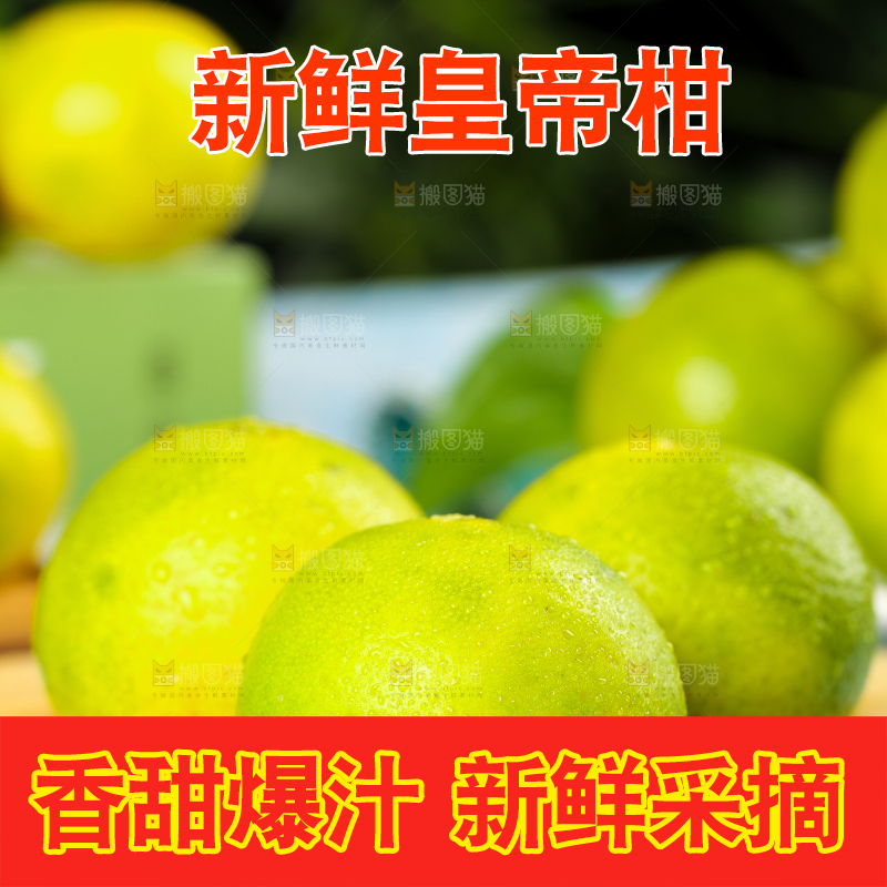 木板上放着皇帝柑