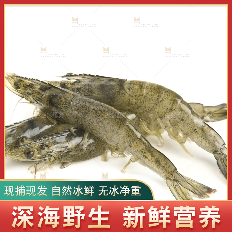 白底上放着新鲜基围虾