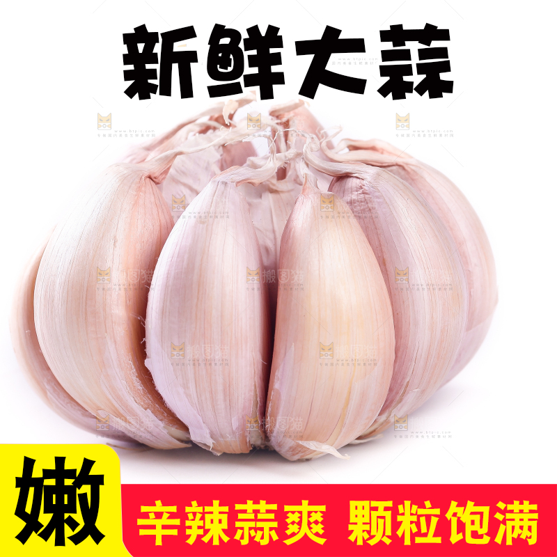 白底上的大蒜头