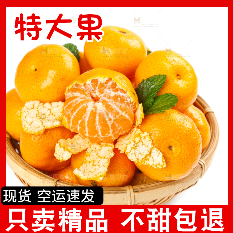 白底上放着一篮新鲜的广西砂糖橘