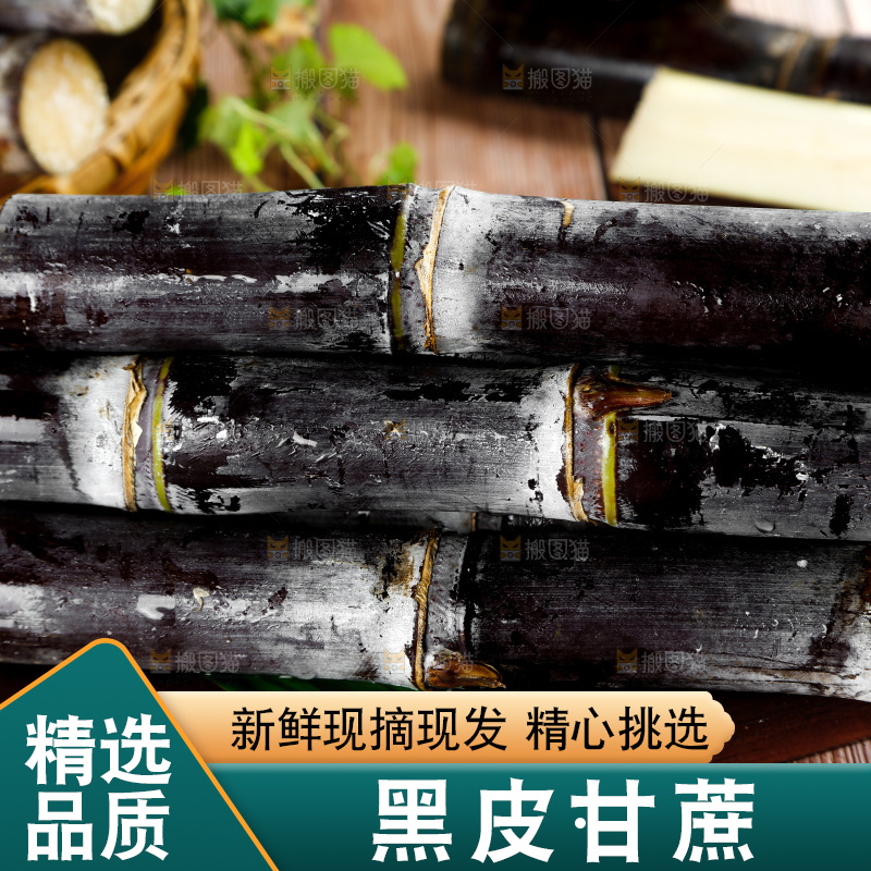 木底上放着一堆广西甘蔗