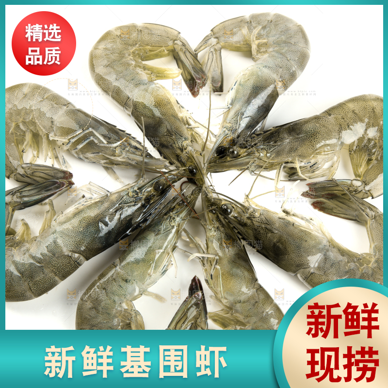 白底上放着对虾