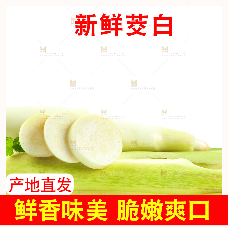 白底上放着一堆湖北新鲜茭白