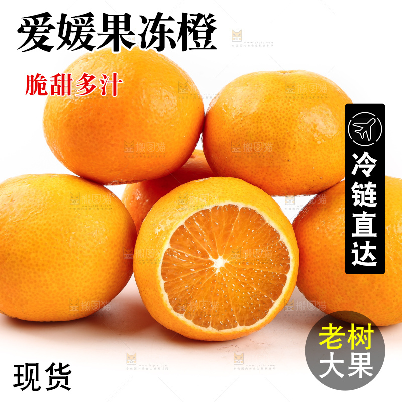 白底上一堆新鲜爱媛果冻橙