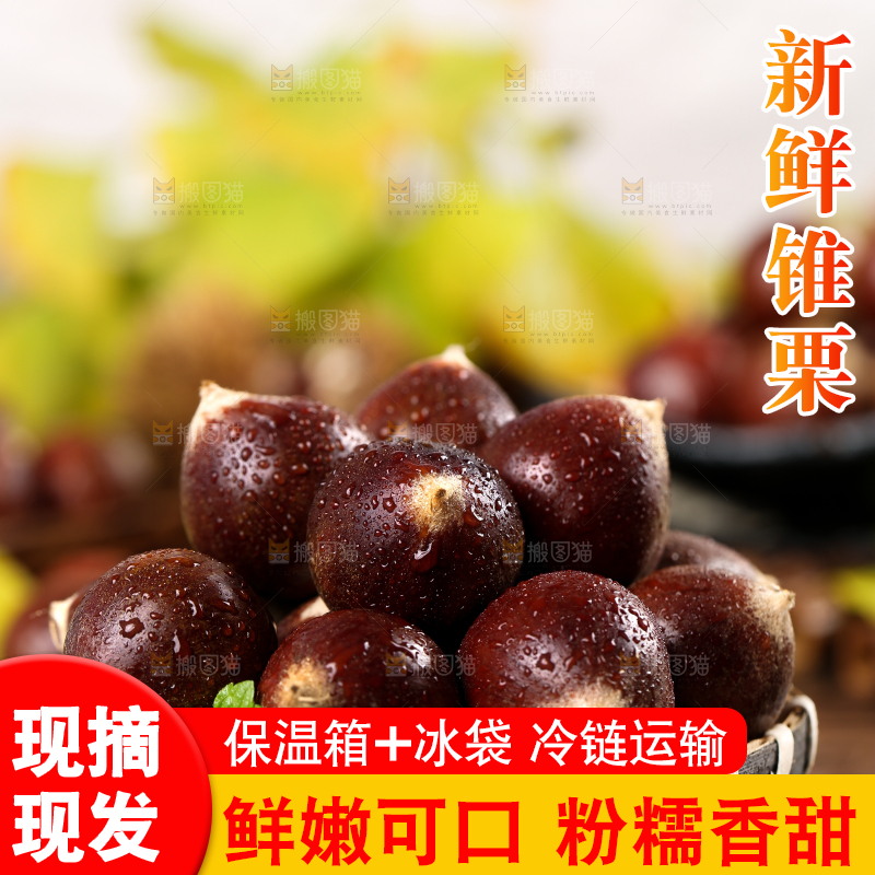 黑底上一篮建瓯锥栗